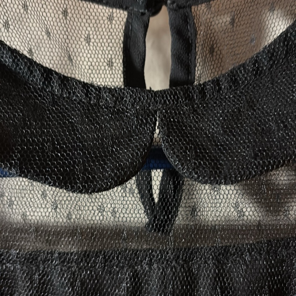 French dot lace Peter Pan collar sheer sleeveless top - Picture 2 of 6